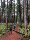 洞爺湖中島トレッキング